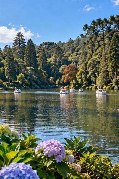 Lago Negro em Gramado com lago, árvores e paisagem natural