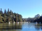 Vista do Lago Negro em Gramado, cercado por árvores.