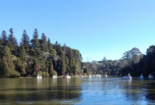 Vista do Lago Negro em Gramado, cercado por árvores.