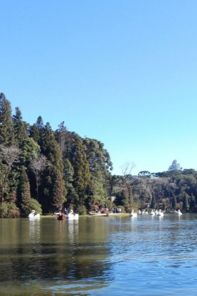 Vista do Lago Negro em Gramado, cercado por árvores.