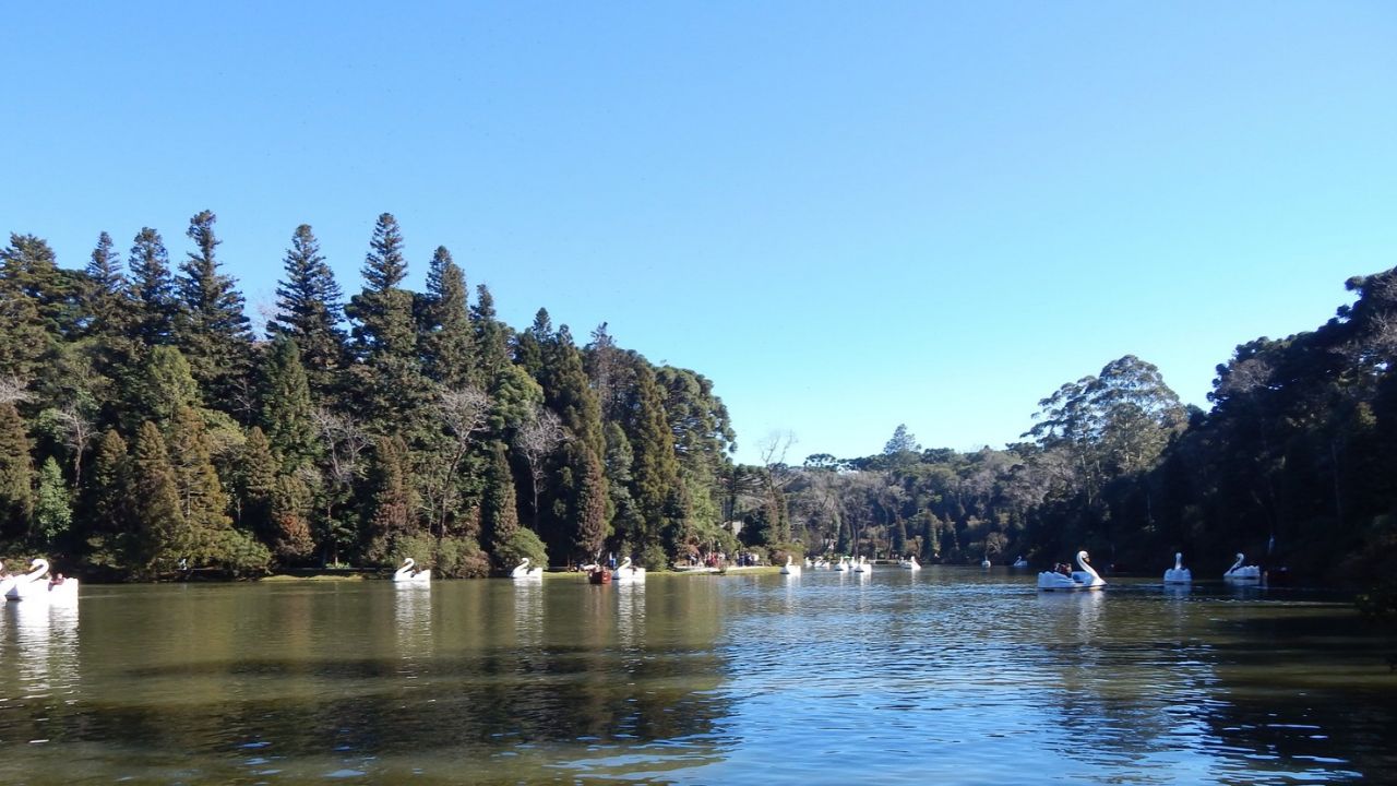 Vista do Lago Negro em Gramado, cercado por árvores.